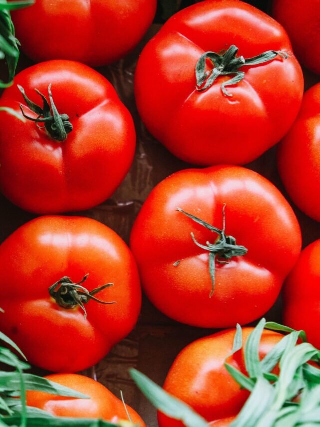 Tomato Bajarbhav : आजचे सर्व बाजारसमिती मधील टोमॅटो दर पहा ऑनलाइन